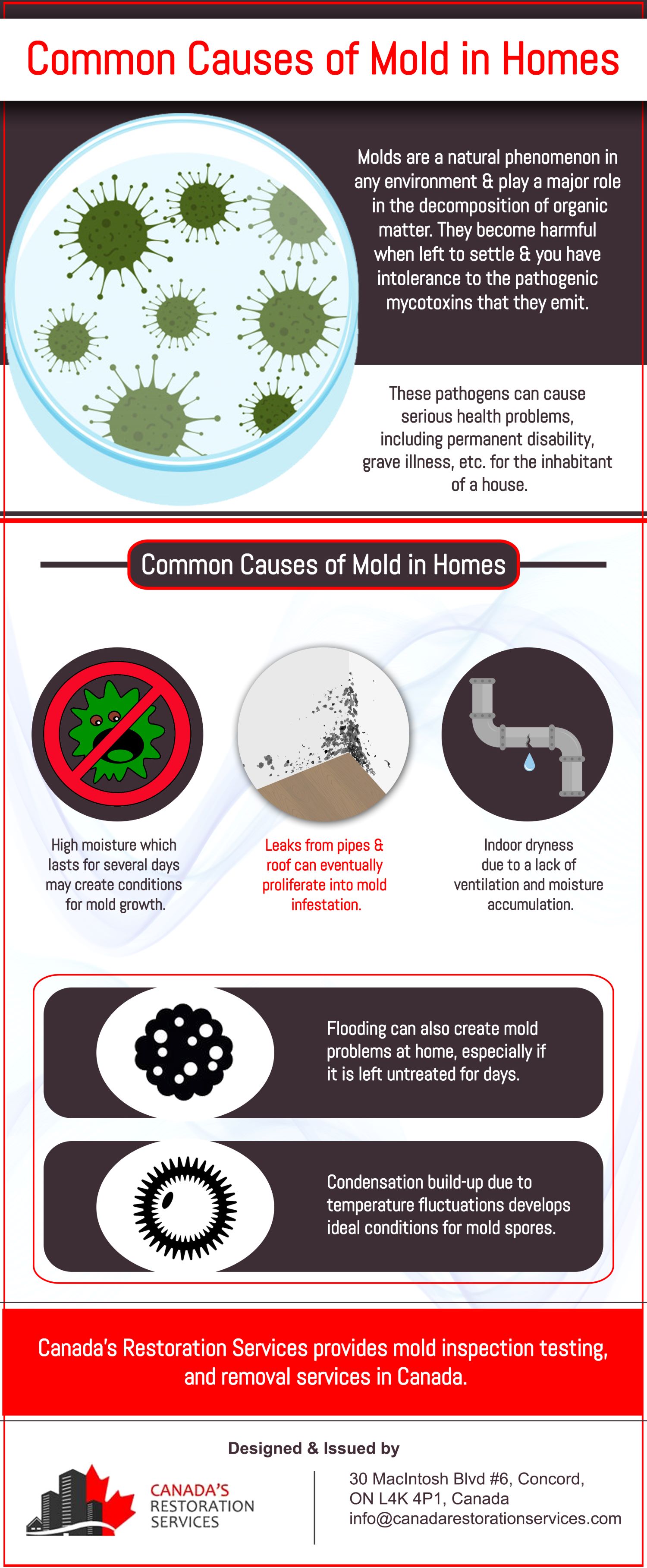 Common Causes Of Mold In Homes By Canadas Restoration Services